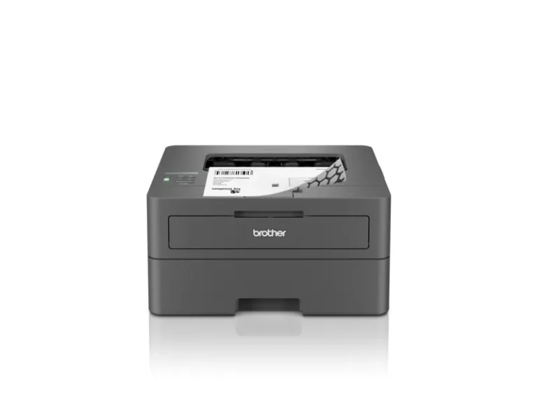 Brother HL-L2400DW Sort/Hvid Laser Printer